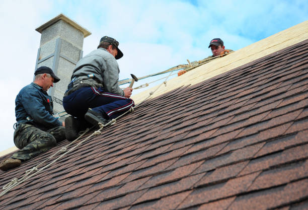 Best Roof Inspection Near Me  in Lovell, WY