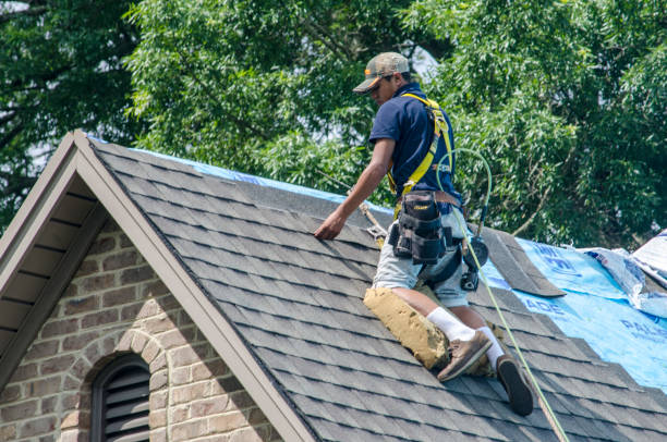 Best Local Roofing Companies  in Lovell, WY